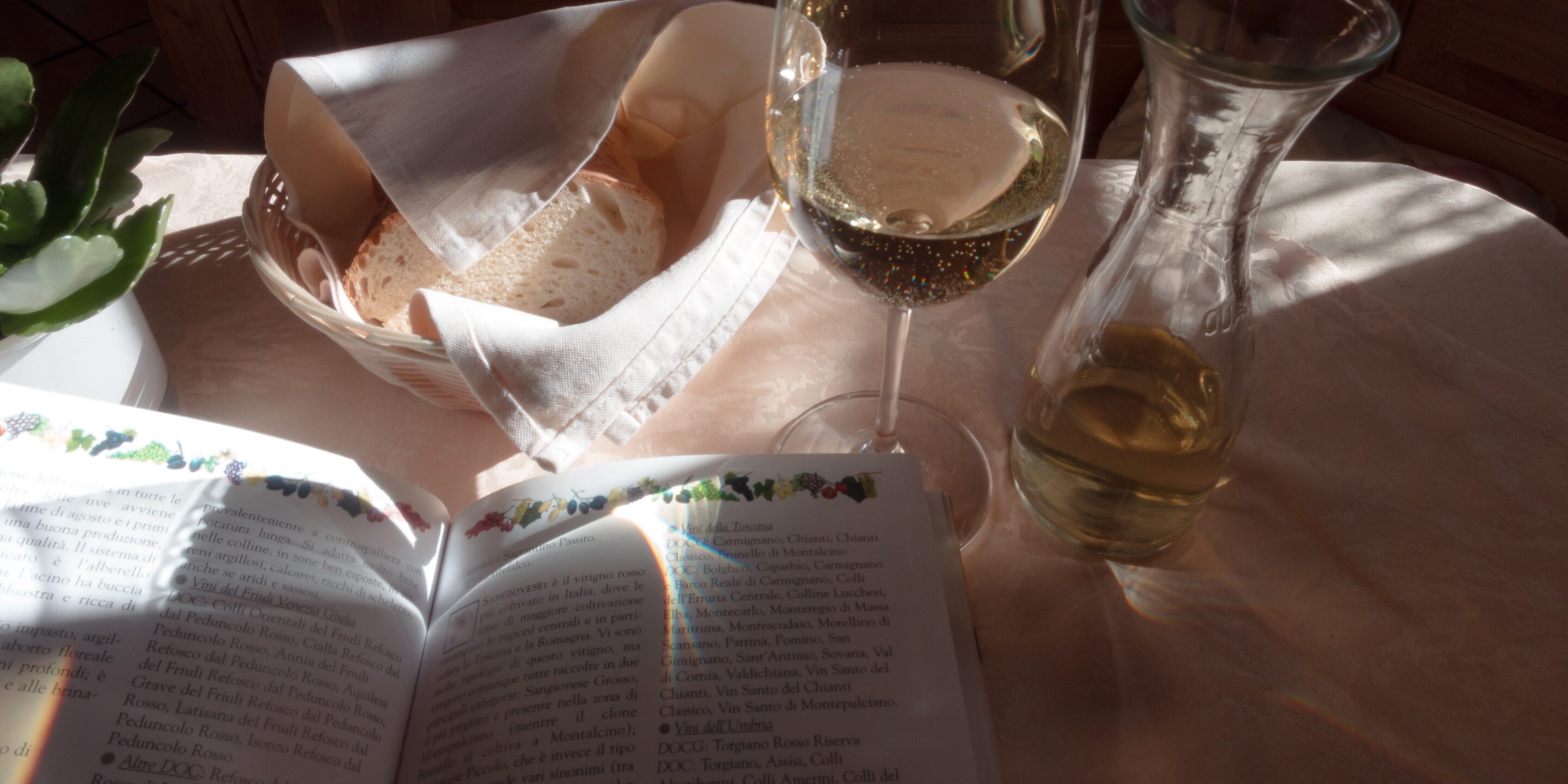 Un verre de vin blanc, une carafe et une corbeille de pain posés sur une table à côté d'un livre ouvert sous un rayon de soleil.
